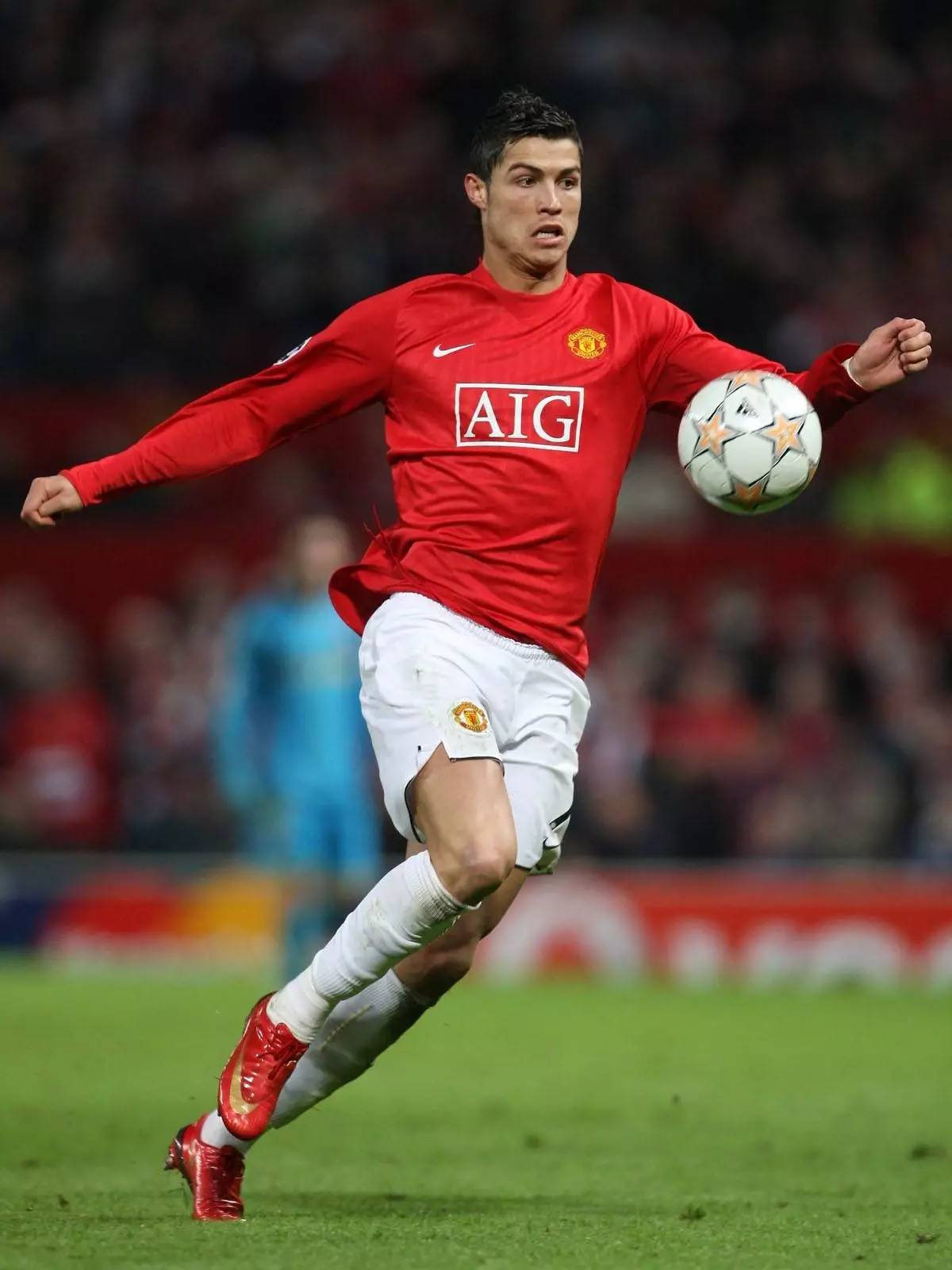 晰地展示了 晰地展示了