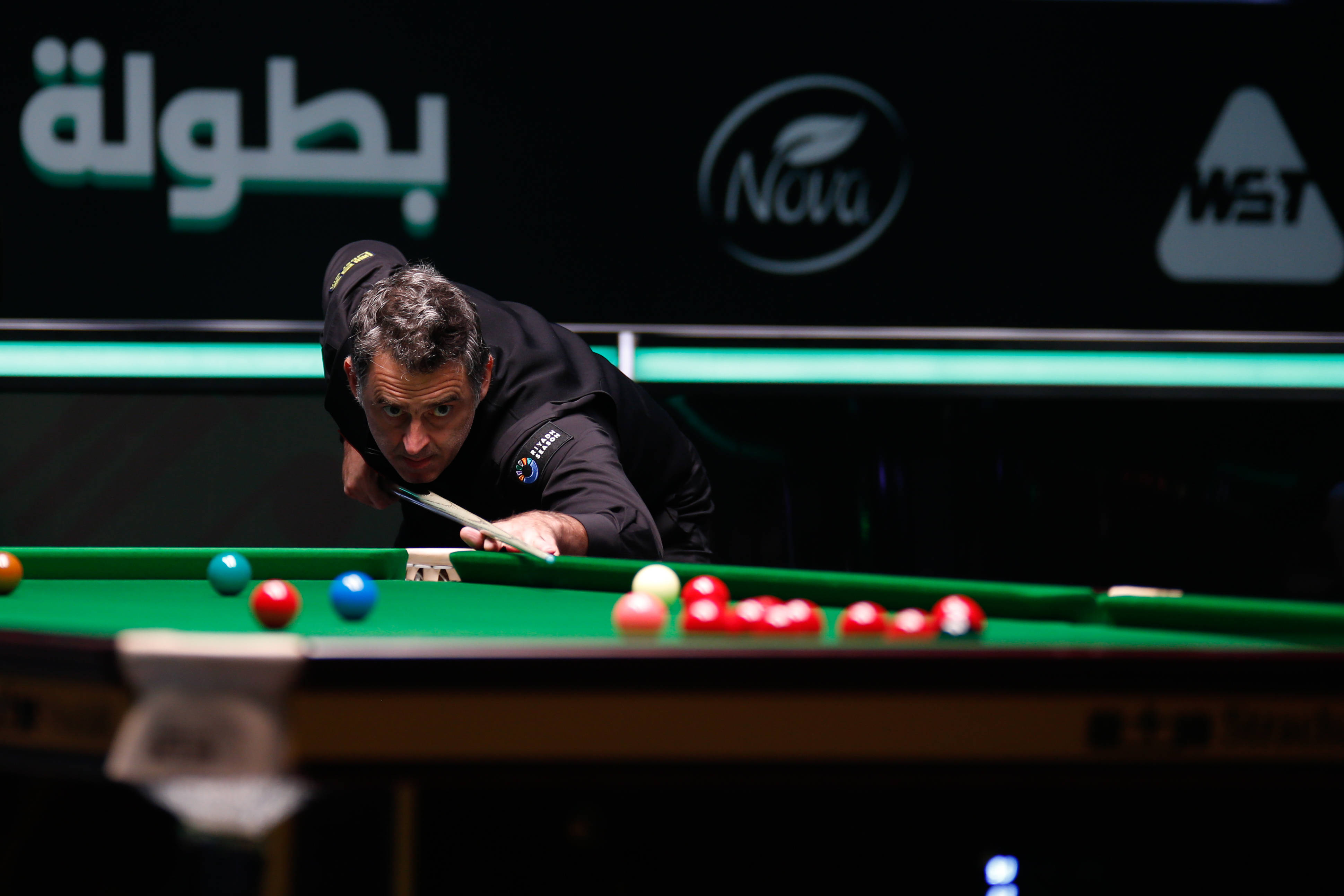 供了一个范 供了一个范